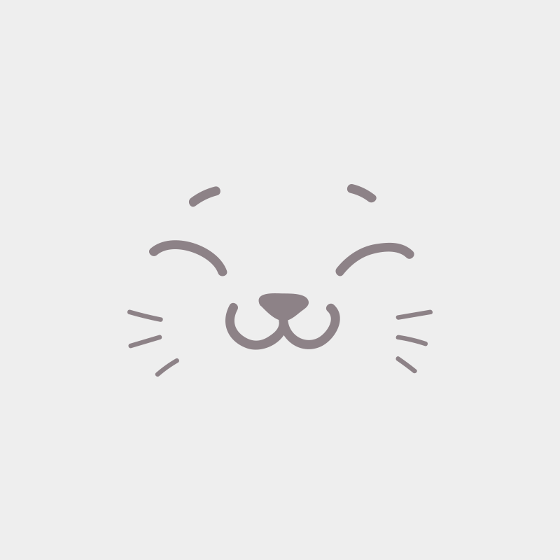 1er chaton (Portée Renaissance ❤ Totem 2024) - Femelle seal point bicolor Collier violet Femelle Ragdoll