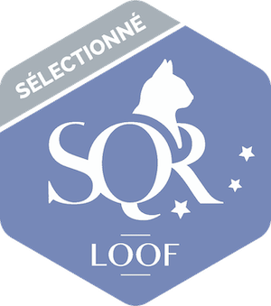 SQR : Sélectionné