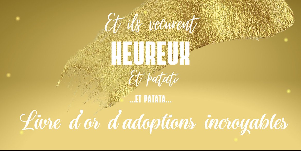 Livre d’or d’adoptions incroyables