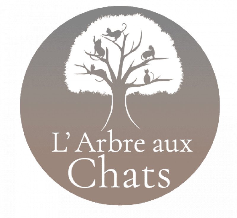 Logo de l'élevage de Ragdolls de l'Arbre aux Chats