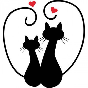 chats amoureux