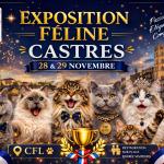 CASTRES 2026