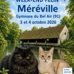 mereville 2026