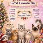 MILLAU 2026